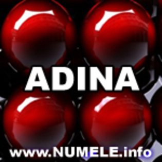 007-ADINA avatare cu nume