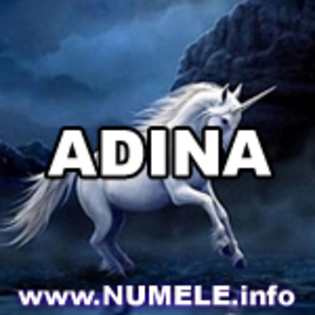 007-ADINA avatare mess - Adina