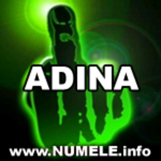 007-ADINA avatare misto - Adina