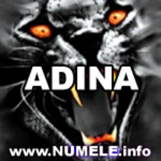 007-ADINA avatare nume baieti - Adina