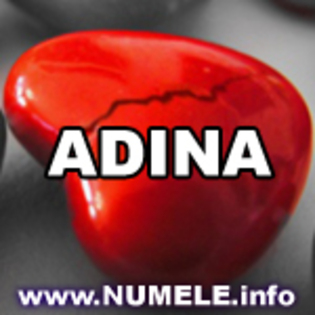 007-ADINA avatare personalizate cu nume - Adina