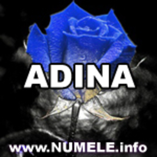 007-ADINA imagini cu nume - Adina