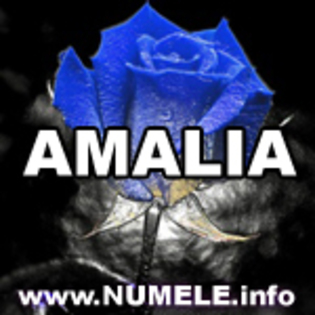 015-AMALIA imagini cu nume - Amalia