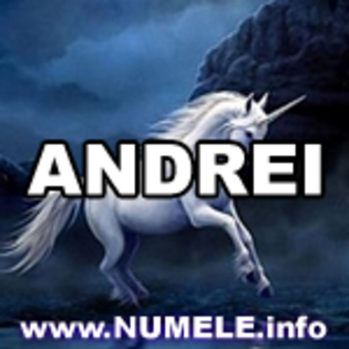 023-ANDREI avatare mess