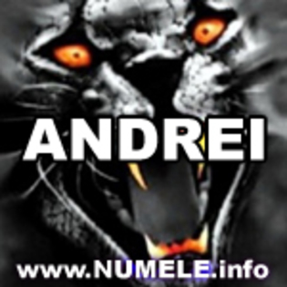 023-ANDREI avatare nume baieti - Andrei