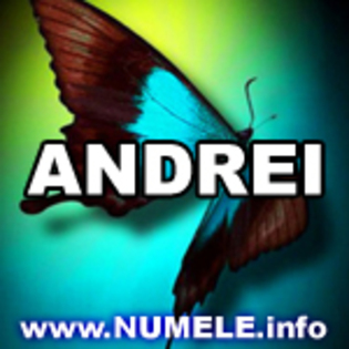 023-ANDREI nume fete