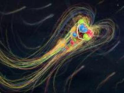 _mica_hearts_vectors_and_lines-1280x1024[1] - poze