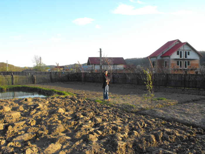 Picture 760 - 0 ceva frumos