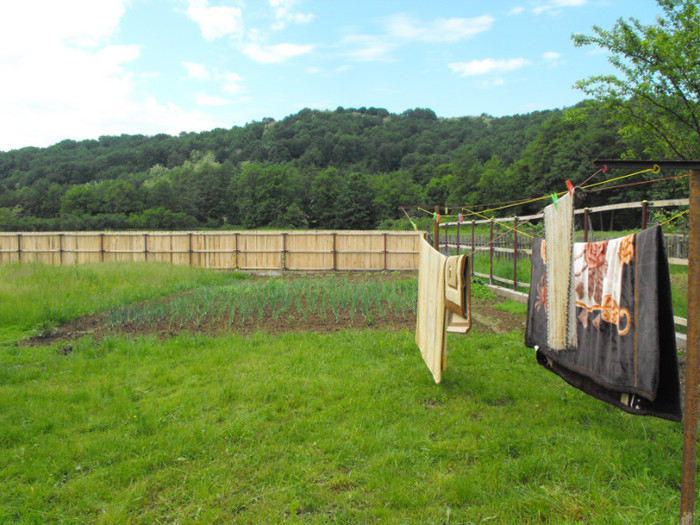 Picture 824 - 0 ceva frumos