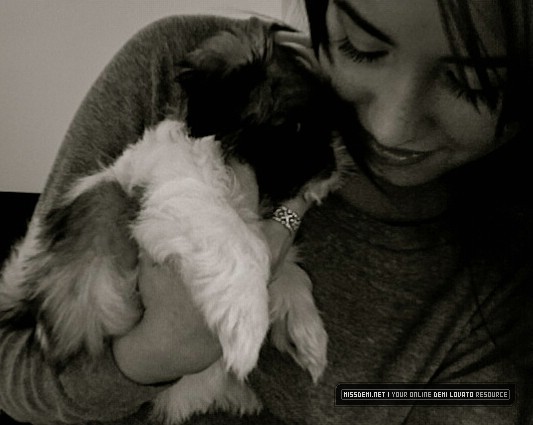 128 - Demi Lovato - Poze Personale