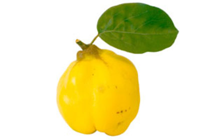 gutuie - Fructul favorit