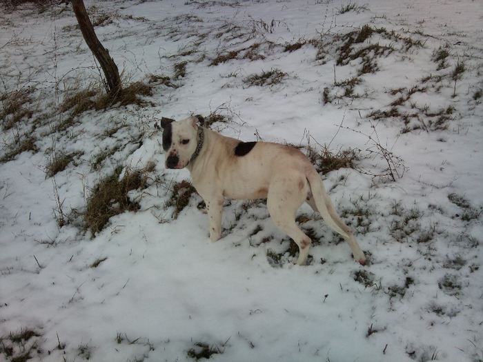 Photo166 - Sara si Leo