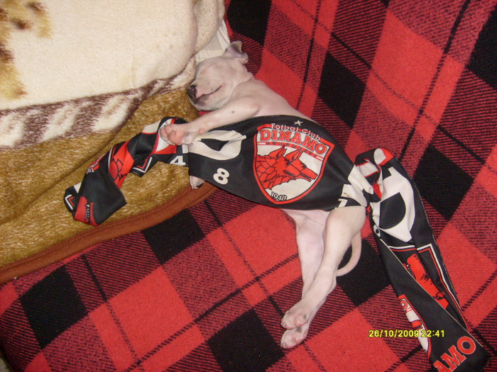 S6302008 - Sara si Leo