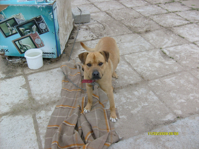 S6301758 - Sara si Leo