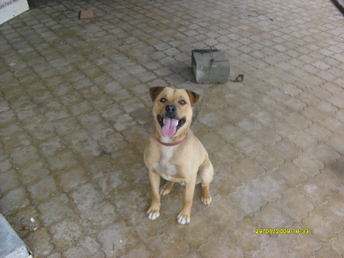 S6301857 - Sara si Leo