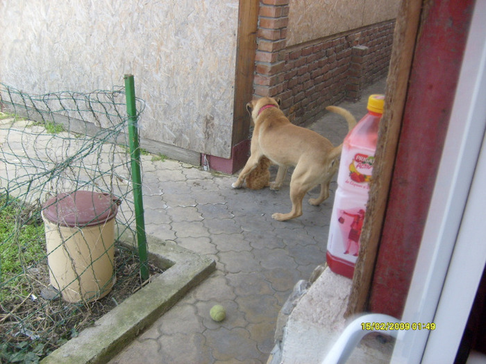 S6301762 - Sara si Leo