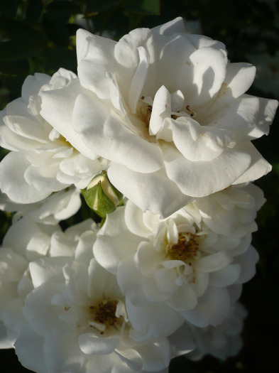 019