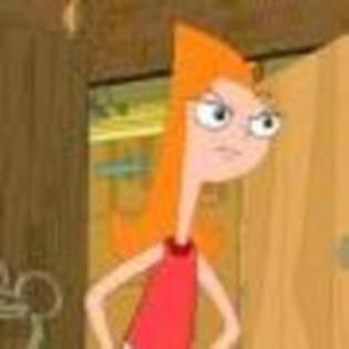 28826768_IOFFVDLZJ - phineas and ferb