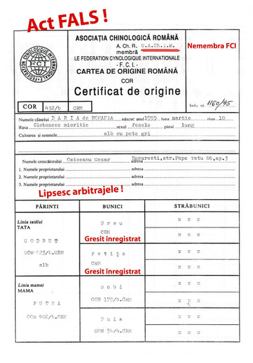 Daria de Romania _ Fals 1R - Pedigree false gresite incomplete
