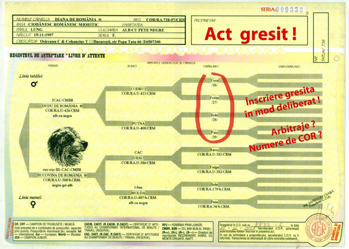 Diana de Romania _ Fals Rom - Pedigree false gresite incomplete