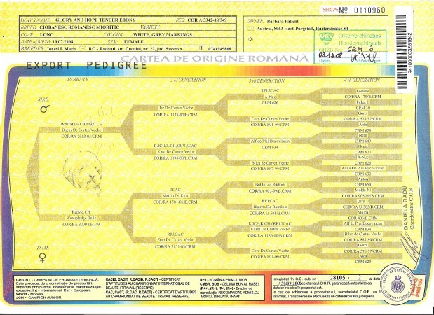 Glory_-_Pedigree1 - Pedigree false gresite incomplete