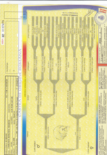 pedigree b-ursanu crm achr - Pedigree false gresite incomplete