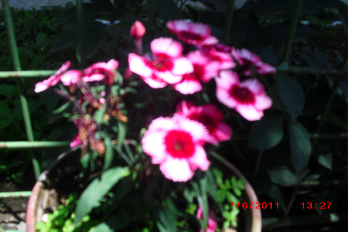 CIMG2051