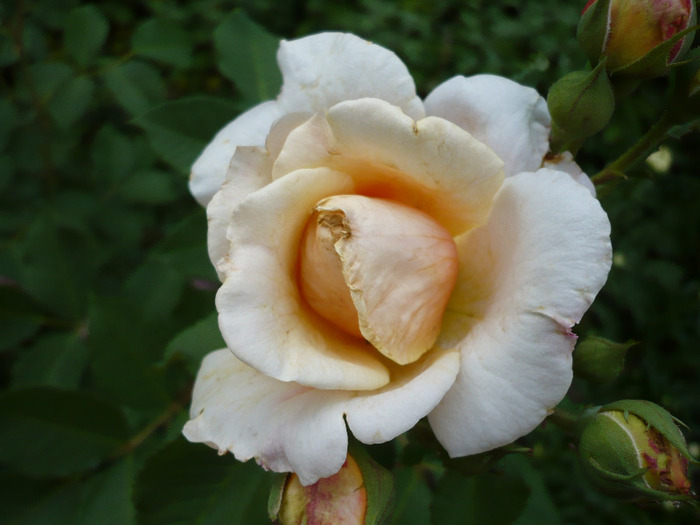 034