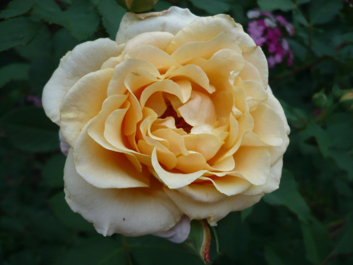 035