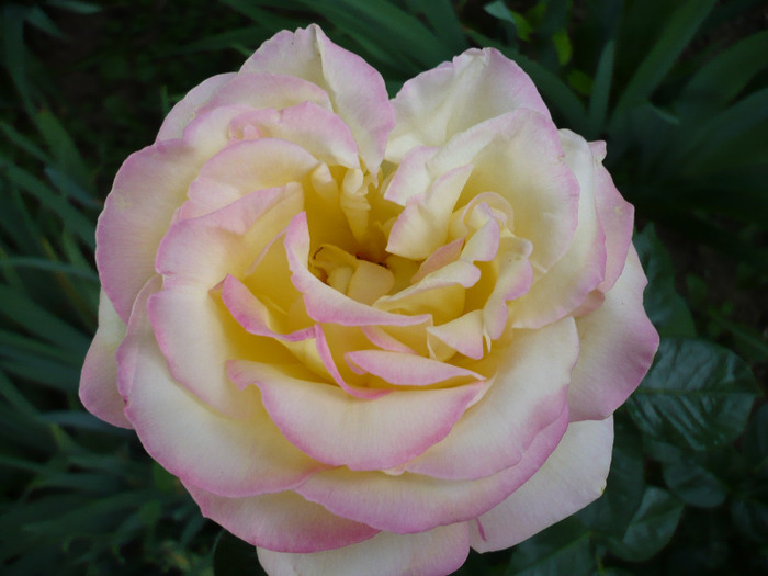 039