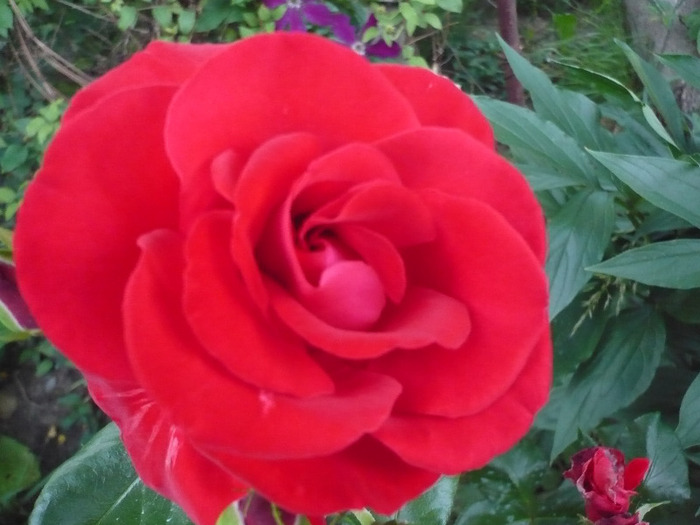 048