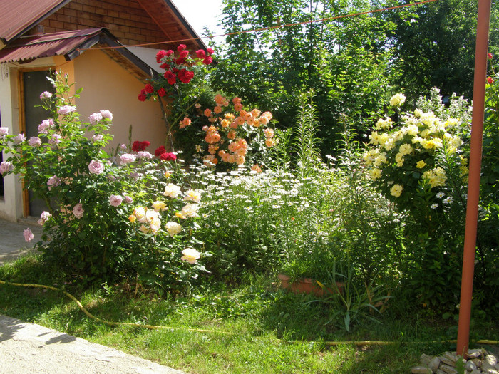 P4225850