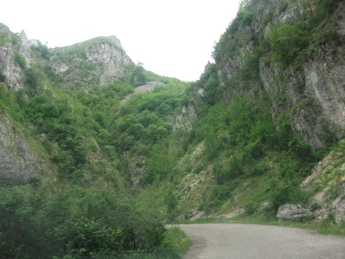 Valea Sohodolului