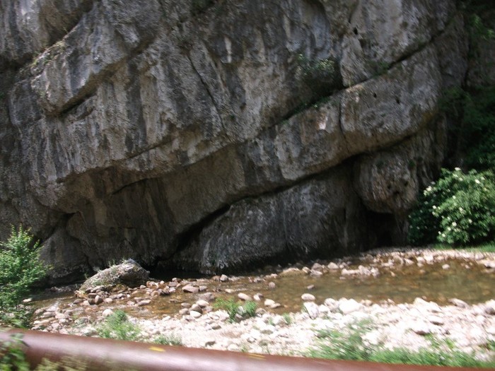 imaginile mele 1120