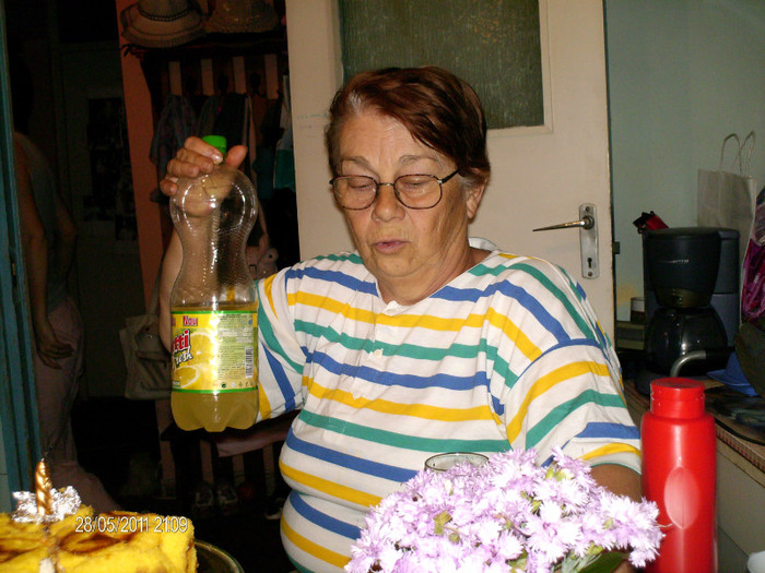 _mai 282 - ANCA_concediu_2011