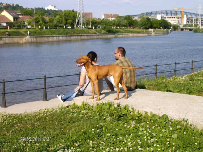 pe malul Somesului - ANCA_concediu_2011