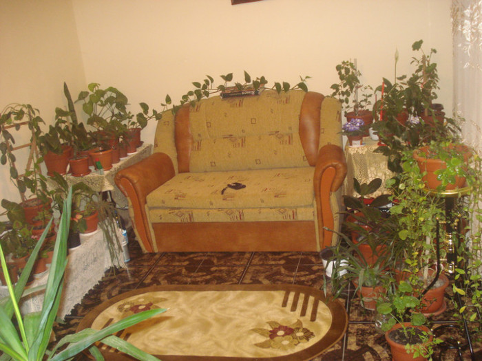 locul meu preferat de cafea