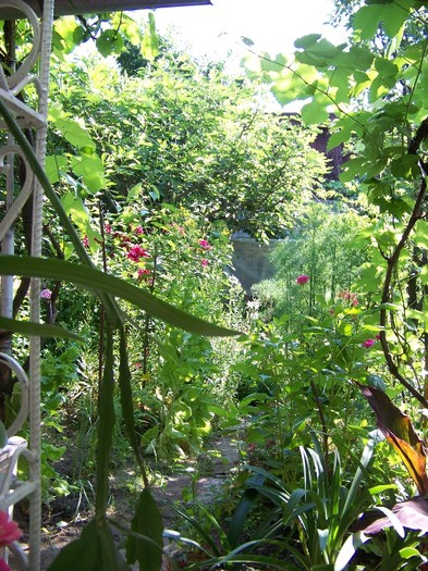 100_7325 - Iunie 2011