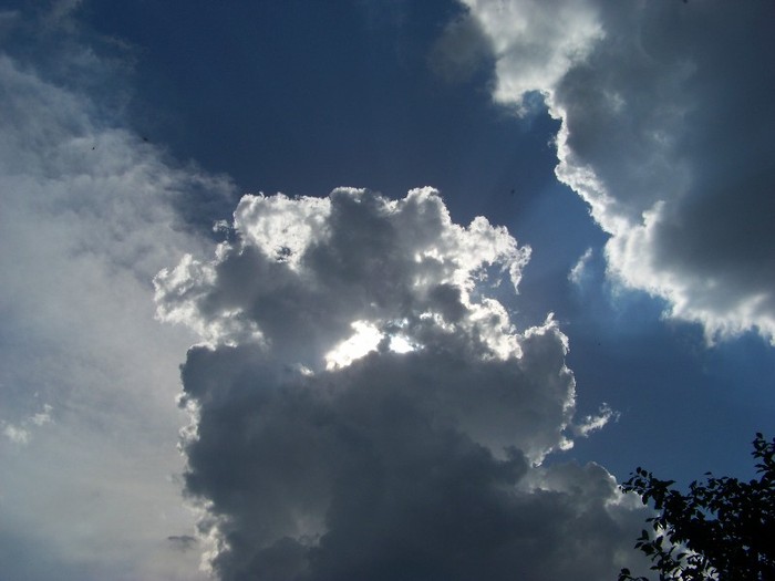 100_7398 - Iunie 2011