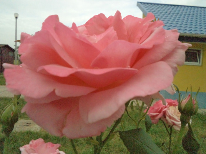 DSC00307