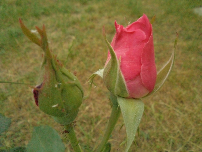DSC00308