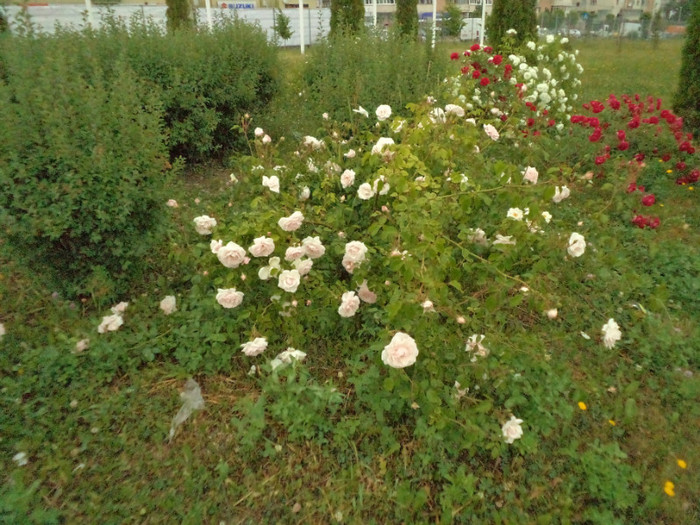 DSC00324