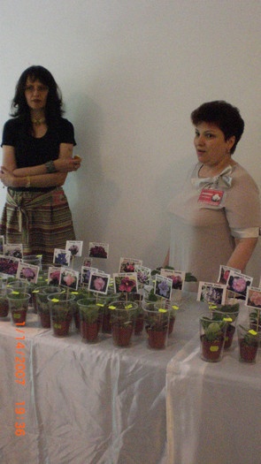 expozitie bucuresti 083 - expozitie violete africane bucuresti 05 iunie 2011