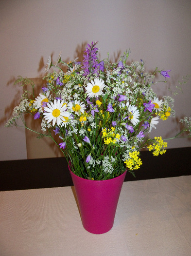 foto 396; flori din gradina
