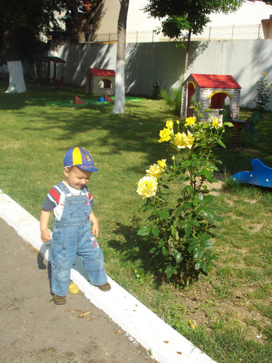 LA SOARE MA POT UITA,DAR LA TRANDAFIR,BA:))