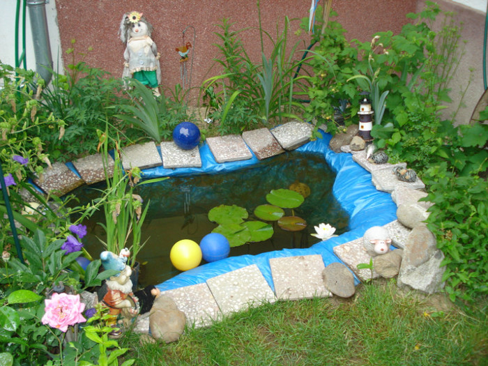 "Nymphea White", 10.06.2011