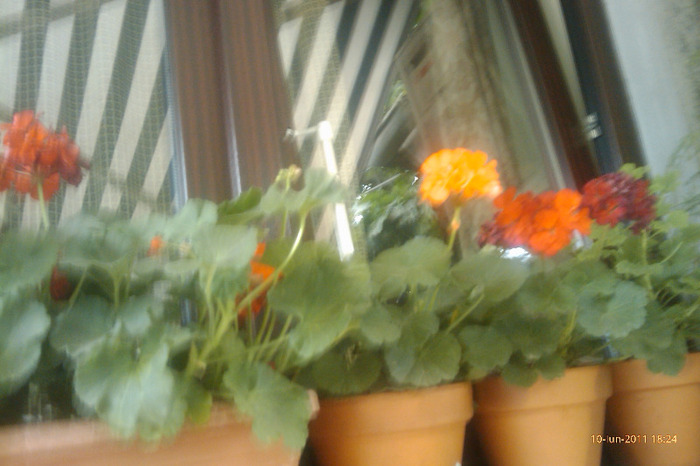 IMAG0796