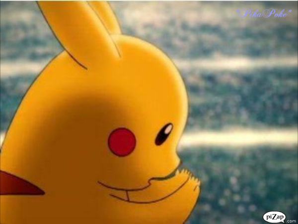 poza semnata:X:X:X:X