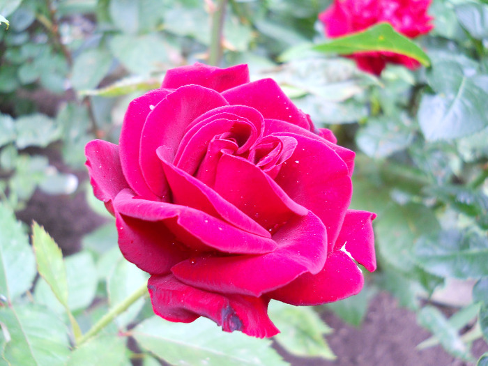DSCN0663