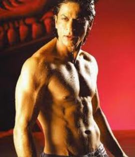 images (14) - Shahrukh Khan